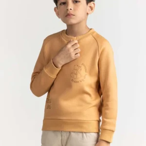 Junior Boy Clay Printed Sweatshirt
