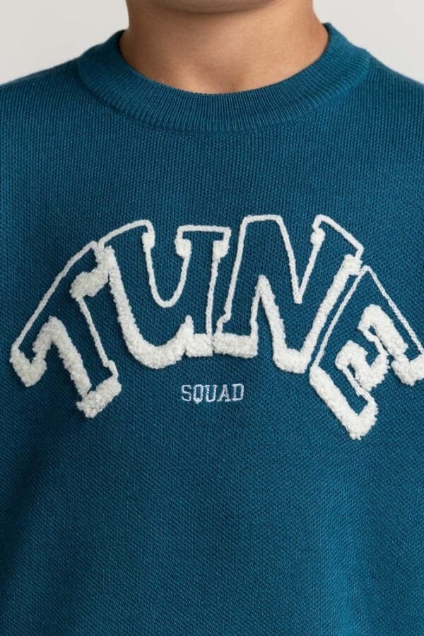Toddler Boy Blue Basic Sweater - Classic Comfort - Montiee
