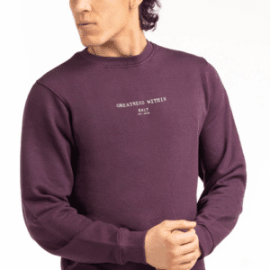 Regular Fit Sweatshirt